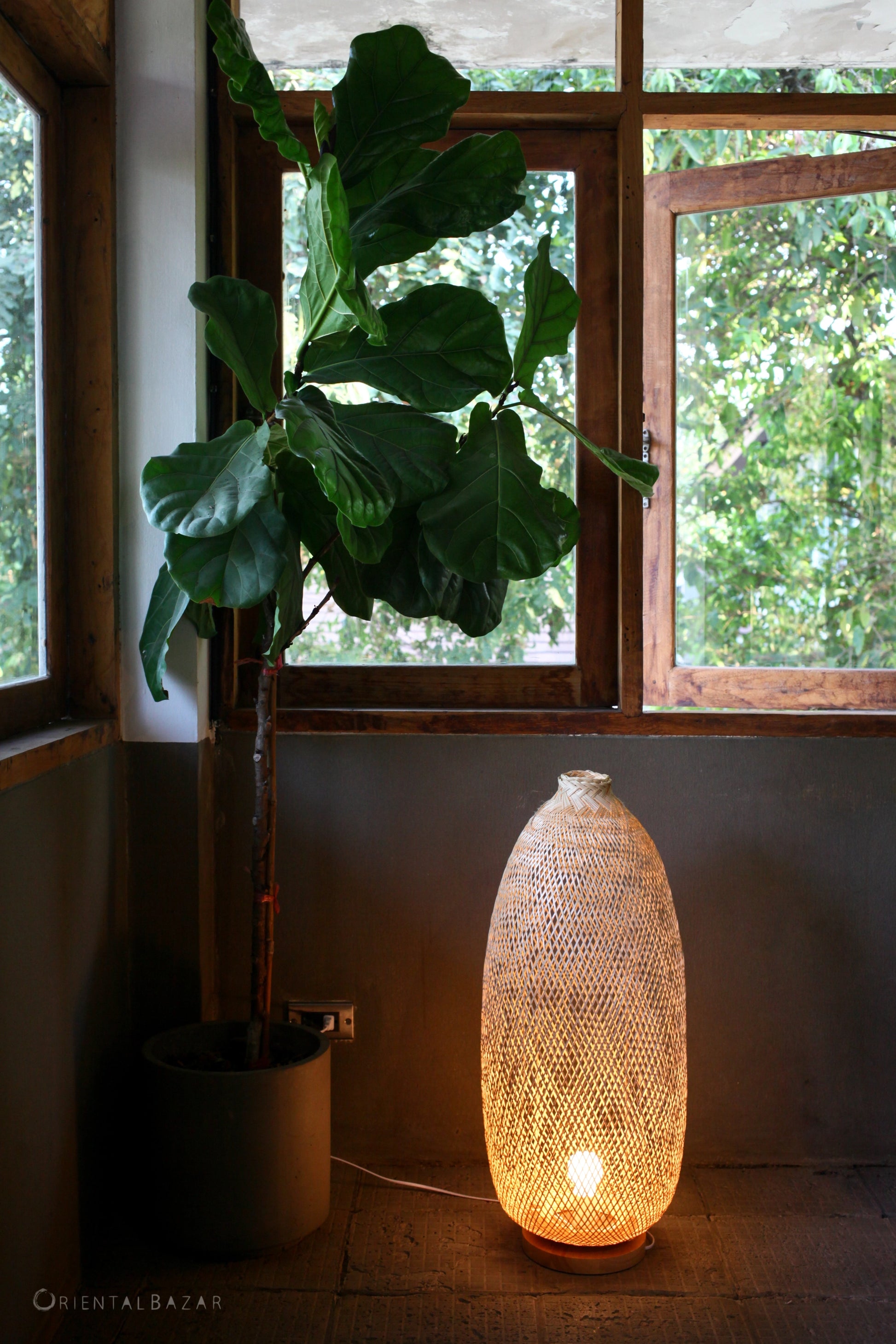Woven bamboo lamp next to a potted plant in a room with windows