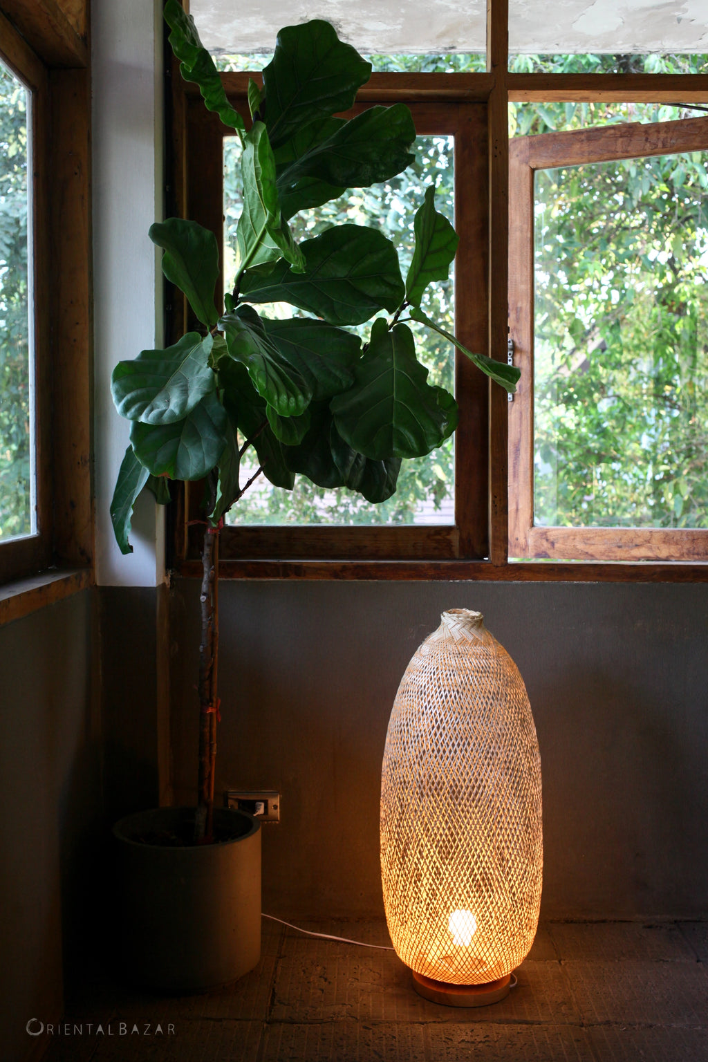Woven bamboo lamp next to a potted plant in a room with windows
