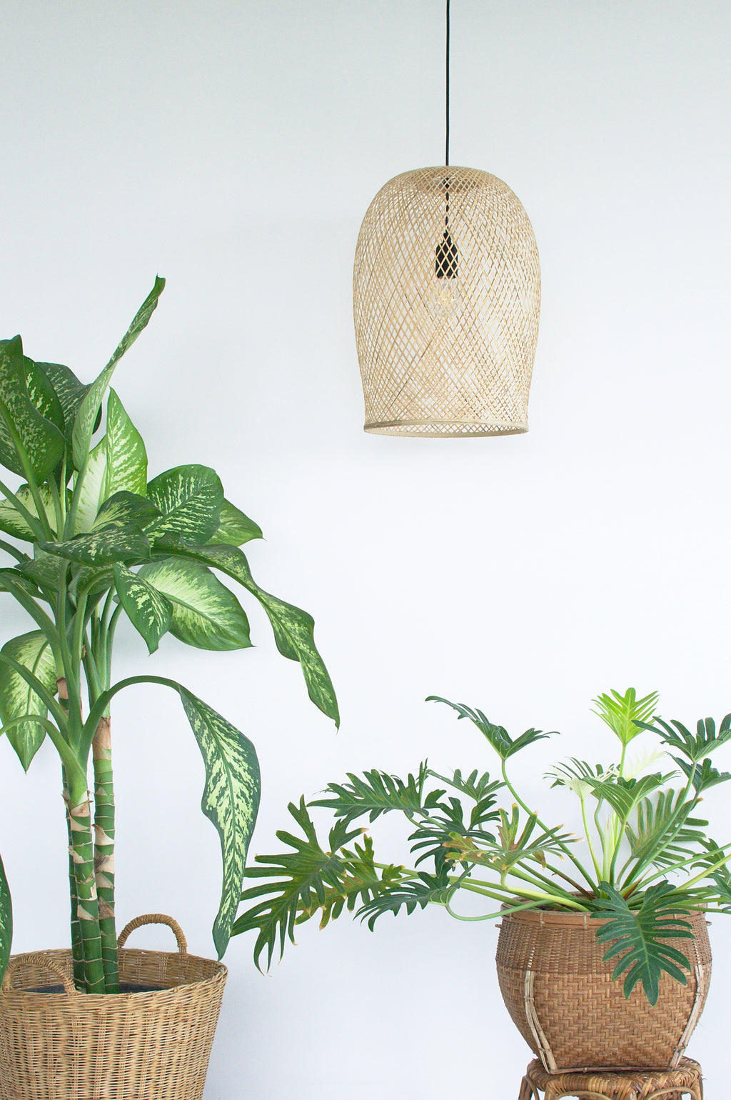 Potted plants with a woven bamboo pendant light against a white background